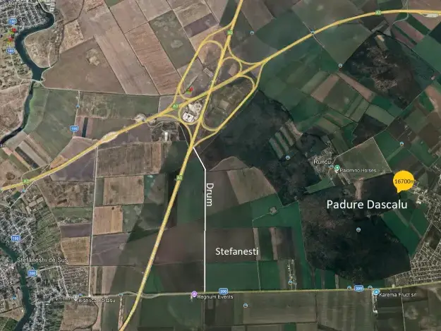 Teren Dascalu Runcu 16700 mp la sosea latura direct Padure 112m img 3