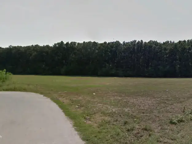 Teren Dascalu Runcu 16700 mp la sosea latura direct Padure 112m principala