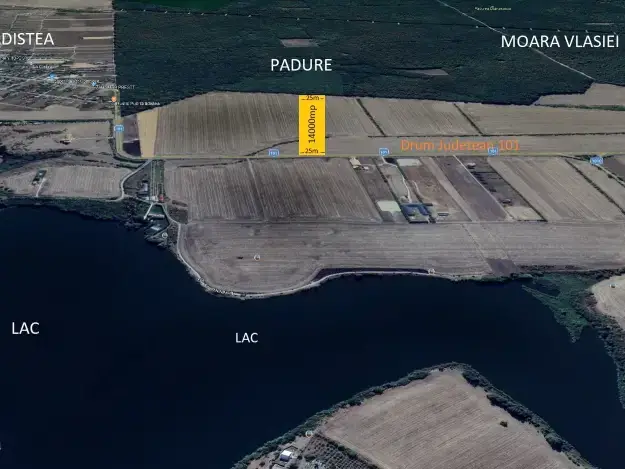Vand teren 14000 mp la drumul Judetean Moara Vlasiei Gradistea latura direct Padure img 3