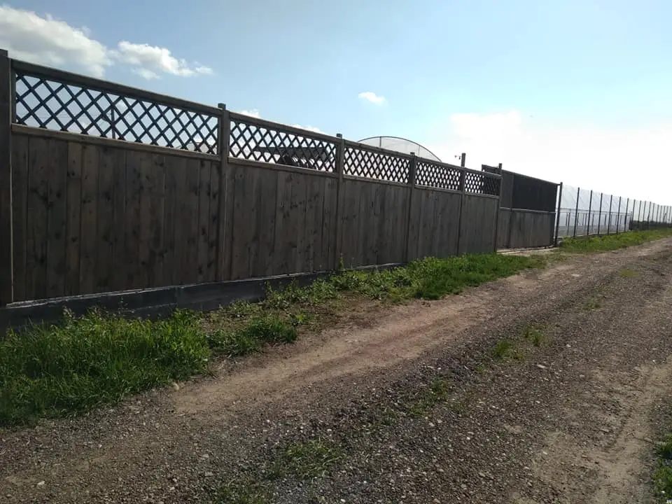 Teren de vanzare Lilieci-Ialomița principala