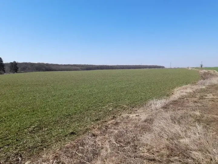 Teren Saftica Snagov 16800 mp latura Lac si Padure intravilan principala