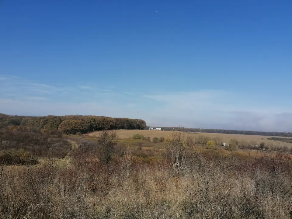 Teren 7 Ha Snagov latura mare Padure si Lac img 4