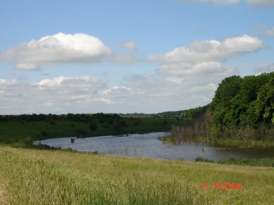 Teren 7 Ha Snagov latura mare Padure si Lac img 3