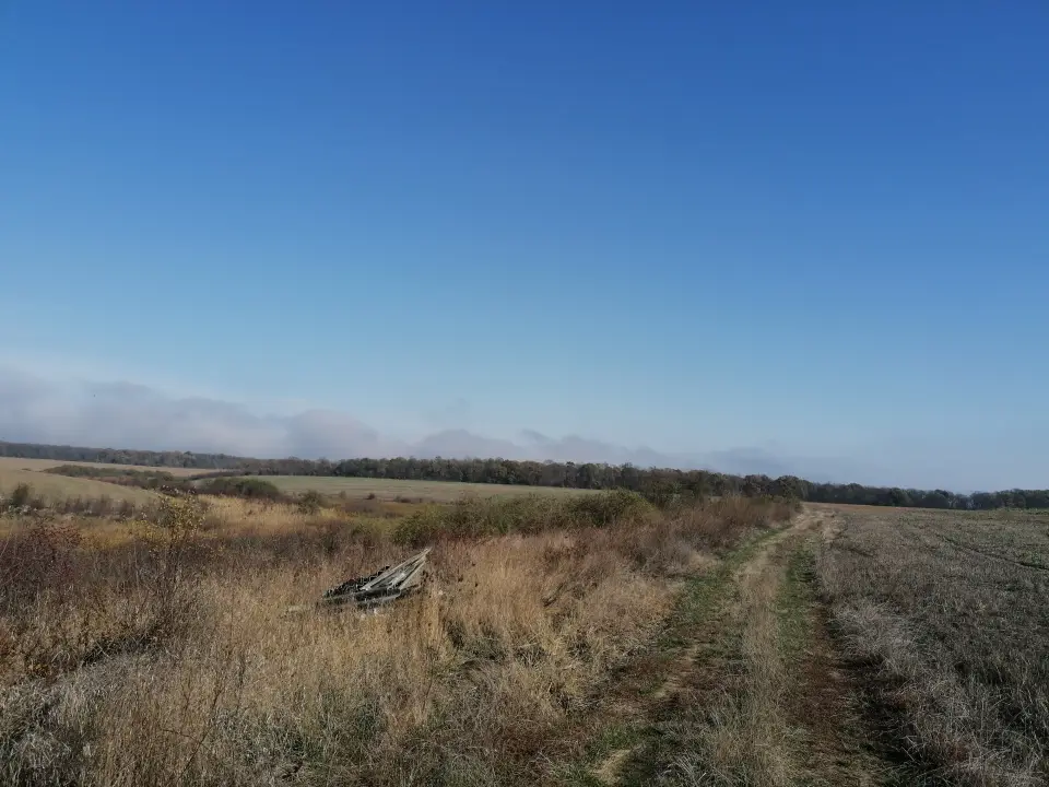 Teren 7 Ha Snagov latura mare Padure si Lac img 5