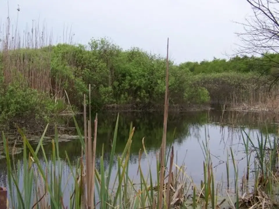 Teren Nod Autostrada A3 Snagov 8800 mp vedere Lac si Padure img 3