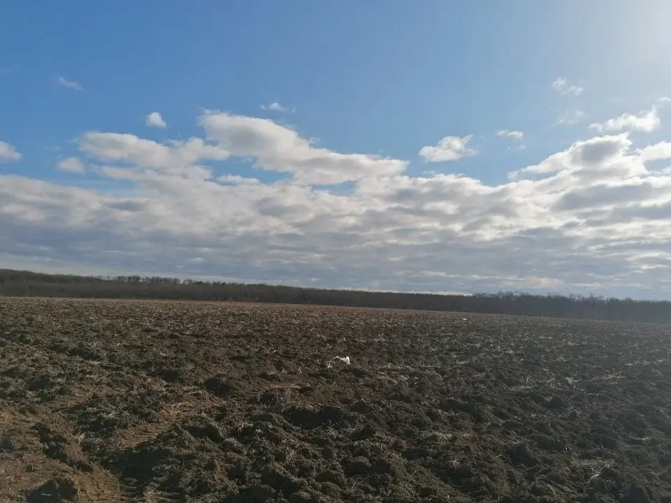 Teren Snagov 7000 mp la Nod Autostrada A3 vedere Padure img 4
