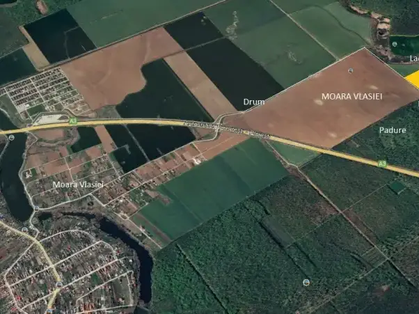 Teren 7 Ha Snagov latura mare Padure si Lac img 7